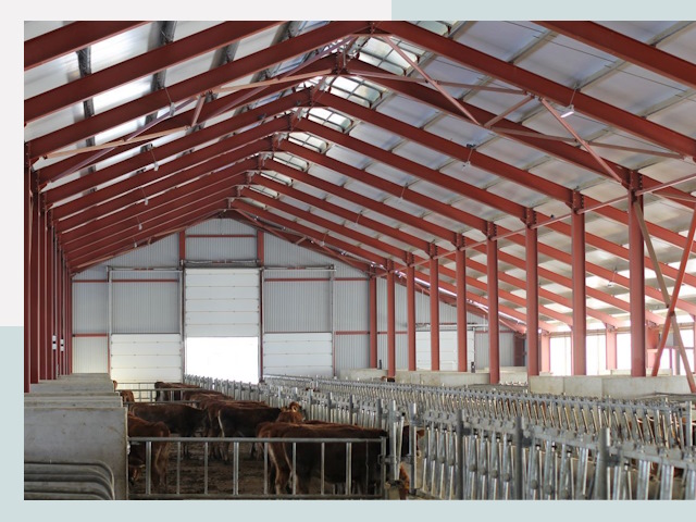 Строительство коровников в Нерюнгри