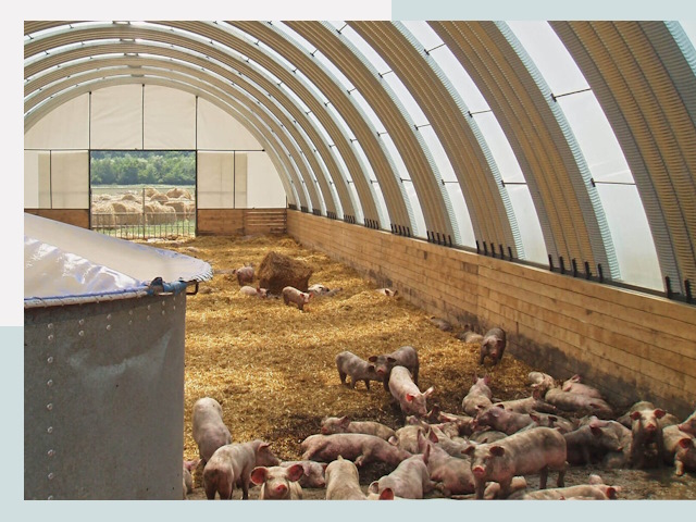 Строительство свинарников в Нерюнгри