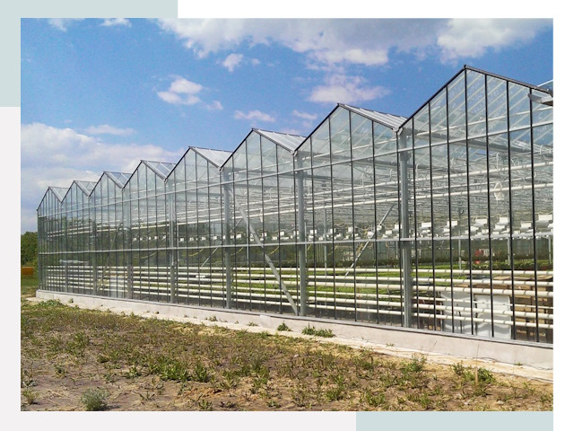 Строительство теплиц в Нерюнгри от 652 руб. за м²