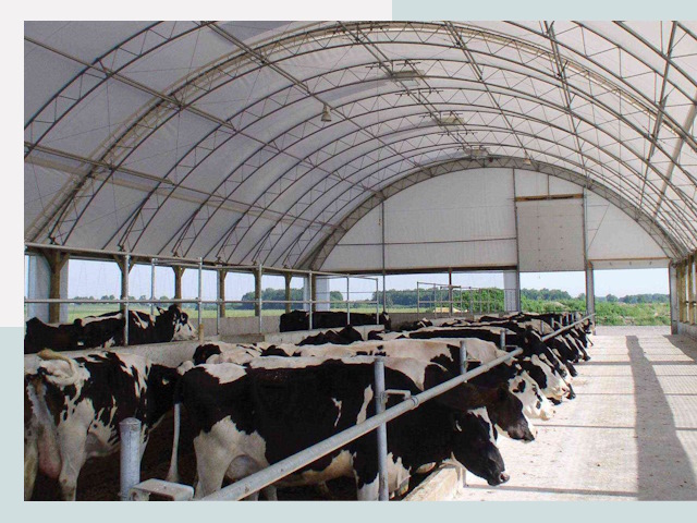 Тентовые коровники в Нерюнгри